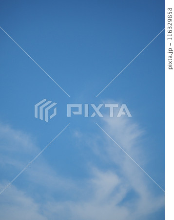 青空に浮かぶ個性的な雲たち 116329858