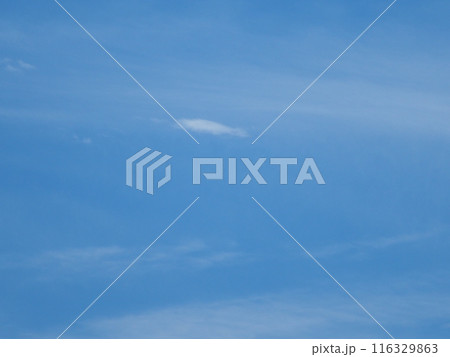 青空に浮かぶ個性的な雲たち 116329863