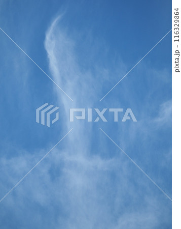 青空に浮かぶ個性的な雲たち 116329864