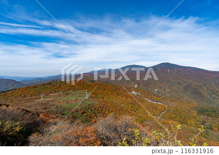 全山紅葉の鬼面山・箕輪山 全山紅葉の鬼面山・箕輪山 116331916