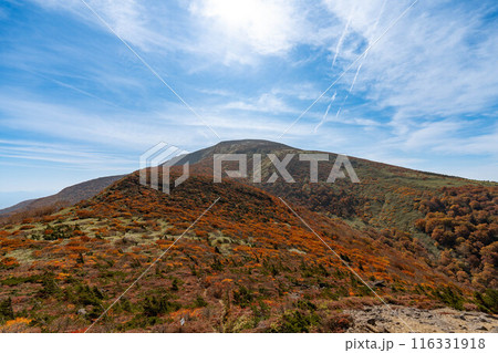 全山紅葉の鬼面山・箕輪山 116331918