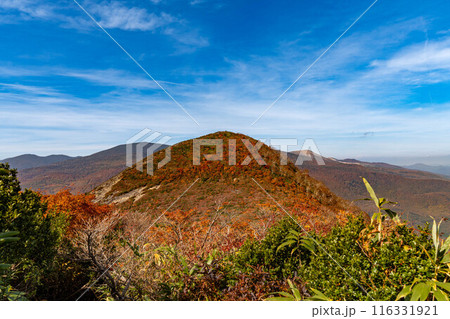 全山紅葉の鬼面山・箕輪山 116331921