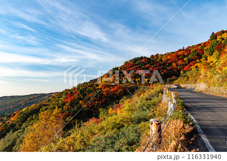紅葉の磐梯吾妻スカイライン 116331940
