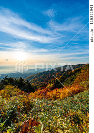 紅葉の磐梯吾妻スカイライン 116331941