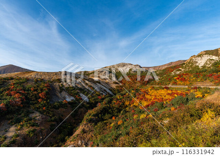 紅葉の磐梯吾妻スカイライン 116331942