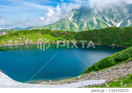富山県　立山黒部アルペンルート 室堂のみくりが池 116332073