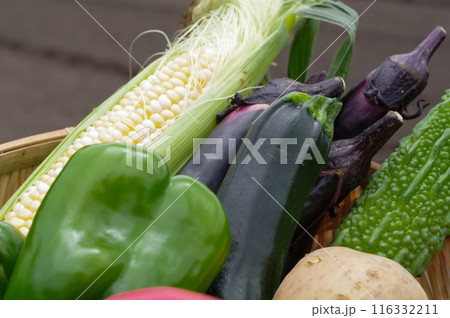 カゴに入った沢山の夏野菜 カゴに入った沢山の夏野菜 116332211