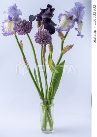Iris flowers bouquet isolated on background. Iris flowers bouquet isolated on background. 116332932