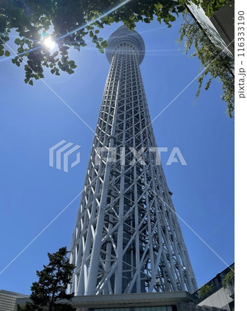 スカイツリーを見上げて スカイツリーを見上げて 116333190