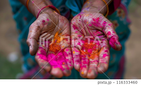 Colorful holi painted hands outdoors 116333460