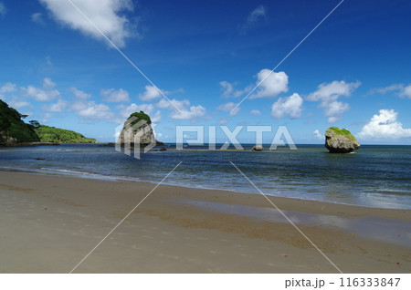 西表島の風景 西表島の風景 116333847