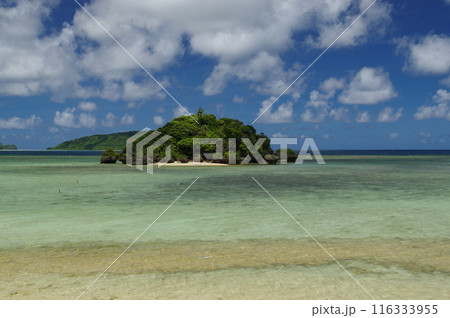西表島の風景 116333955
