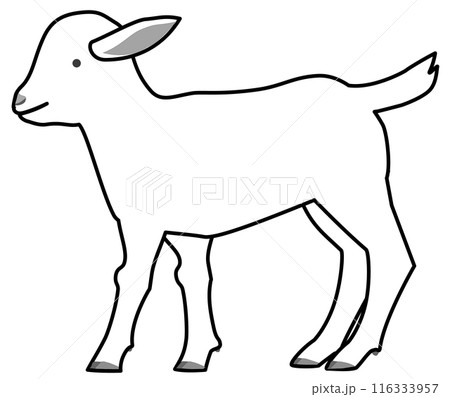 横から見た白い子ヤギの線画 116333957