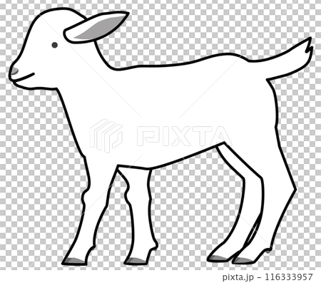 横から見た白い子ヤギの線画 116333957