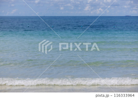 Soft wave of ocean on sandy beach. Wave of the sea on the sand beach. White sand beach and blue sky 116333964