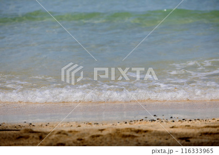 Soft wave of ocean on sandy beach. Wave of the sea on the sand beach. White sand beach and blue sky 116333965