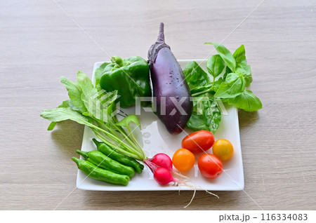 新鮮野菜 夏野菜 採れたて 朝採れ 家庭菜園 新鮮野菜 夏野菜 採れたて 朝採れ 家庭菜園 116334083