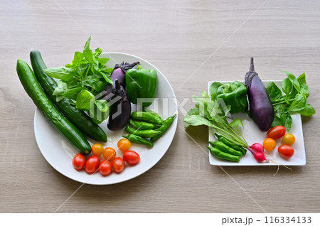新鮮野菜 夏野菜 採れたて 朝採れ 家庭菜園 新鮮野菜 夏野菜 採れたて 朝採れ 家庭菜園 116334133