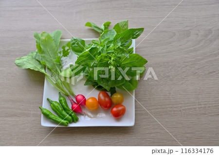 新鮮野菜 夏野菜 採れたて 朝採れ 家庭菜園 新鮮野菜 夏野菜 採れたて 朝採れ 家庭菜園 116334176