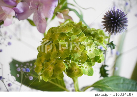 ブーケ　緑・紫系　横 116334197