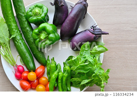 新鮮野菜　夏野菜　採れたて　朝採れ　家庭菜園 116334234