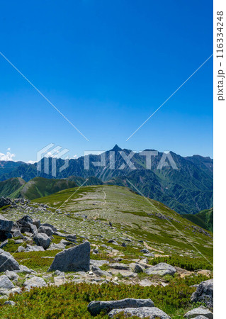 天空の滑走路 116334248