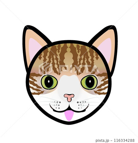 茶白猫の顔のイラスト 116334288