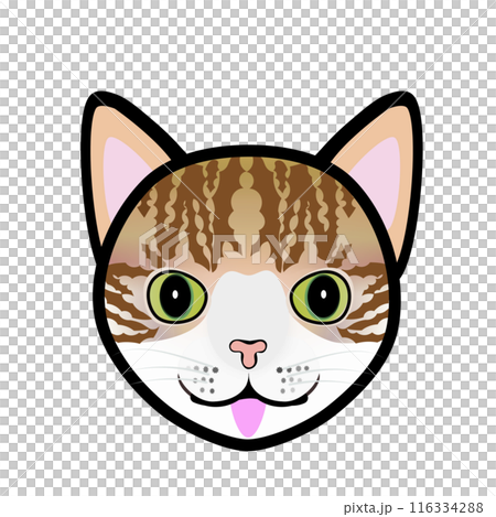 茶白猫の顔のイラスト 116334288