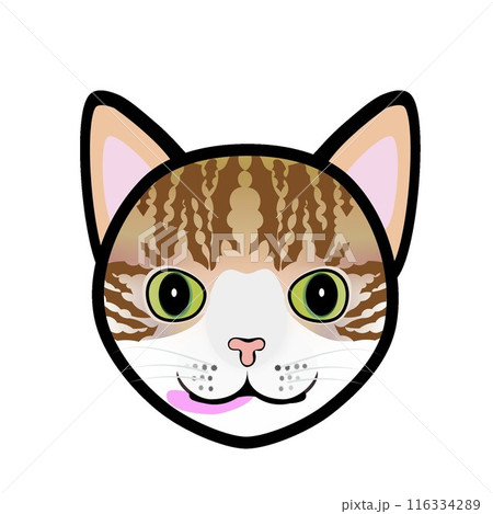 茶白猫の顔のイラスト 茶白猫の顔のイラスト 116334289