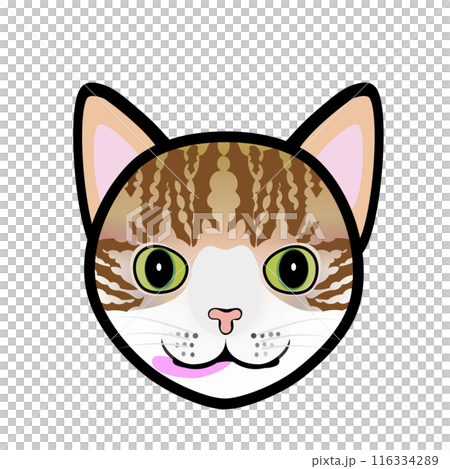 茶白猫の顔のイラスト 茶白猫の顔のイラスト 116334289