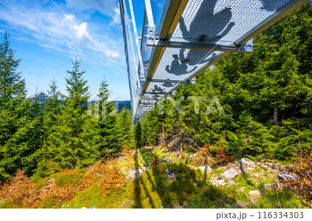 A view from below the Sky Bridge 721 in Dolni Morava, Czechia. Silhouettes of people can be seen walking on the bridge, which is the longest suspension footbridge in the world. A view from below the Sky Bridge 721 in Dolni Morava, Czechia. Silhouettes of people can be seen walking on the bridge, which is the longest suspension footbridge in the world. 116334303