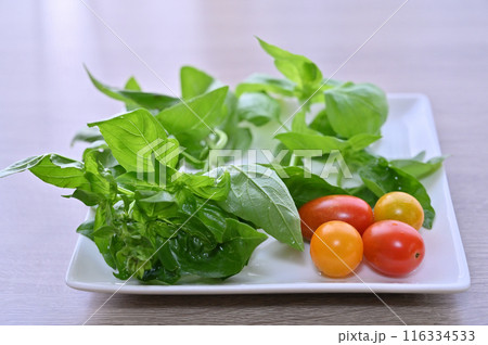 バジル ミニトマト 新鮮野菜 夏野菜 採れたて 朝採れ 家庭菜園 バジル ミニトマト 新鮮野菜 夏野菜 採れたて 朝採れ 家庭菜園 116334533