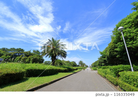 千葉県・千葉市・稲毛海浜公園 116335049