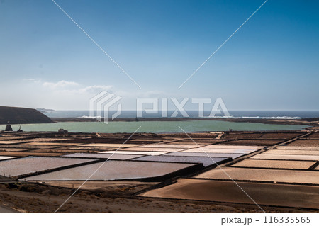 Salt pans, Salinas del Janubio, Lanzarote, Spain 116335565