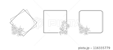 Daisy flower geometric border minimalist frame line art on white background. Silhouette botanical hand drawn element for wedding, invitation frame design, vector illustration Daisy flower geometric border minimalist frame line art on white background. Silhouette botanical hand drawn element for wedding, invitation frame design, vector illustration 116335779