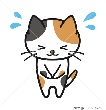 焦りながらお辞儀する三毛猫 焦りながらお辞儀する三毛猫 116335780