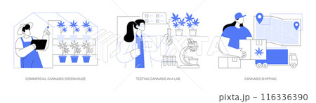 Commercial cannabis cultivation isolated cartoon vector illustrations se Commercial cannabis cultivation isolated cartoon vector illustrations se 116336390