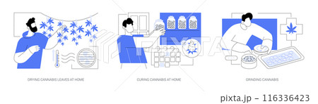 Home-grown cannabis isolated cartoon vector illustrations se 116336423