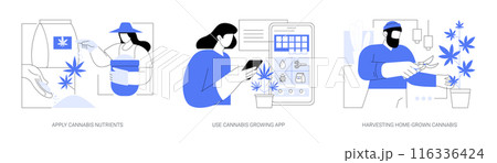 Growing cannabis at home isolated cartoon vector illustrations se 116336424