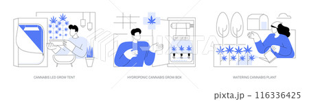 Recreational marijuana cultivation isolated cartoon vector illustrations se 116336425
