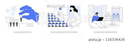 Cannabis home cultivation isolated cartoon vector illustrations se 116336426