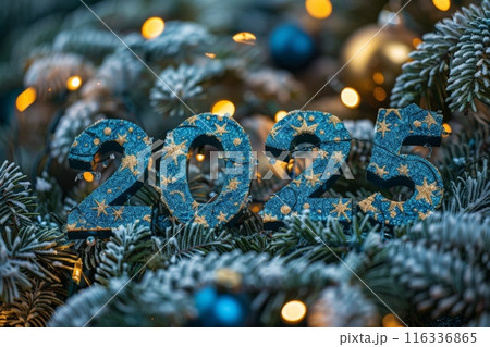 2025 New Year with Starry Decorations 116336865