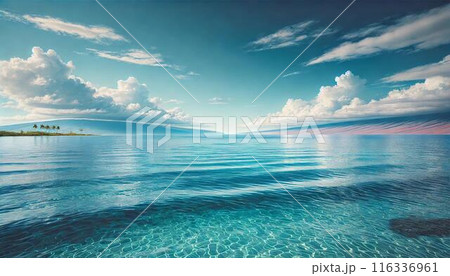 穏やかな南国の海と青空 116336961