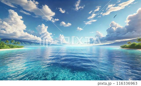 穏やかな南国の海と青空 116336963