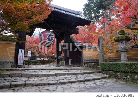 紅葉の時期のお寺 116336983