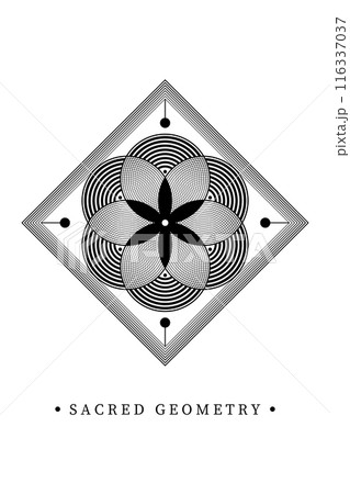 Seed Flower of life lotus icon, logo mandala sacred geometry, tattoo symbol of harmony and balance. Mystical talisman, interlocking of black circles lines, op art vector isolated on white background  116337037