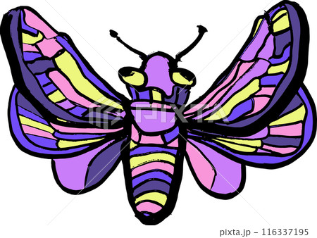 Grunge Hand Drawn Ink Brush Night Moth 116337195