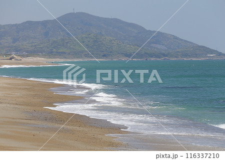 海岸の波打ち際 116337210