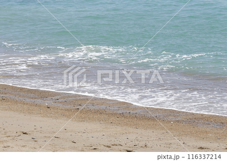 海岸の波打ち際 116337214