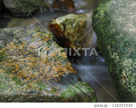 流れる清流 116337338